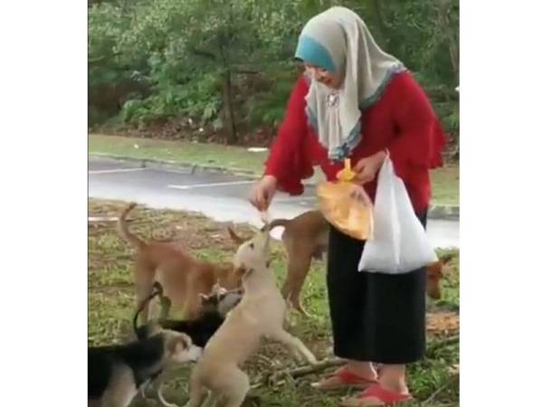 Paparan video menunjukkan seorang wanita Muslim memberi anjing jalanan makan mengundang reaksi positif daripada netizen.