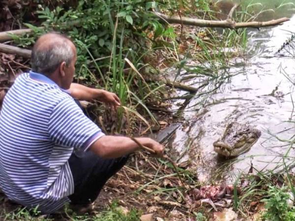 Abdul Rahman memberi Mamat makan kepala ayam.