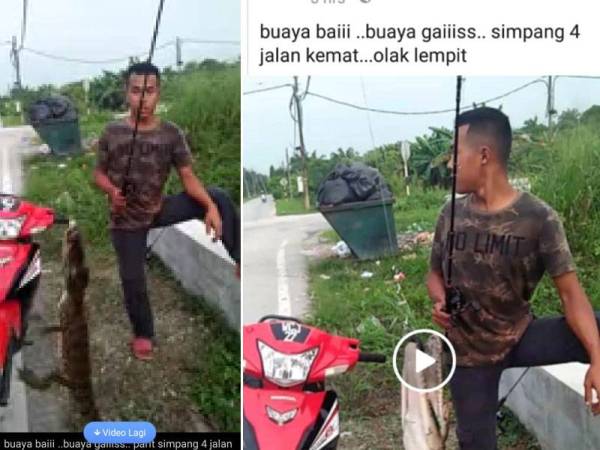 Tular video di laman sosial Facebook memaparkan mengenai seekor buaya yang tersangkut pada pancing seorang pemuda di Kampung Olak Lempit di sini semalam. - Sumber Facebook