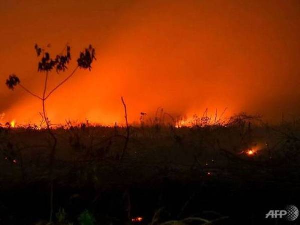 Keluasan kawasan yang terjejas akibat kebakaran hutan di Indonesia sepanjang September tahun ini melebihi tahun lalu. - FOTO AFP
