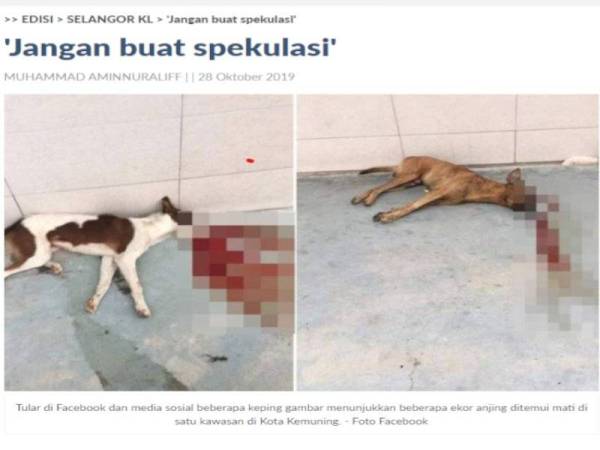 Laporan Sinar Harian berhubung lima ekor anjing ditembak terbiar sehingga mati di Kota Kemuning pada Ahad lalu. 