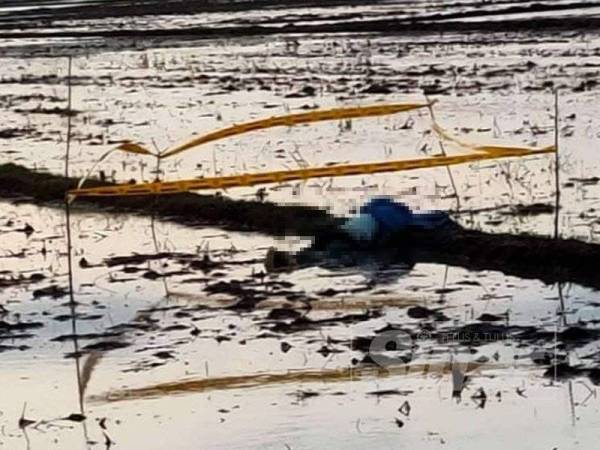 Mangsa ditemui terbaring di petak sawah Kepala 40 Jalan Tambun Tulang, pada jam 6.25 petang semalam.