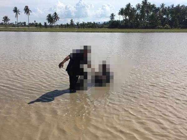 Seorang penagih yang bertempiaran lari di kawasan sawah padi di port Sungai Meriam Kota Kuala Muda selepas diserbu dapat ditahan anggota Unit Penguatkuasaan AADK Daerah Kuala Muda.