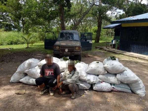 PGA berjaya menumpaskan kegiatan penyeludupan daun ketum dengan tertangkapnya dua lelaki di kawasan ladang pokok jati di Padang Besar, Perlis, semalam.