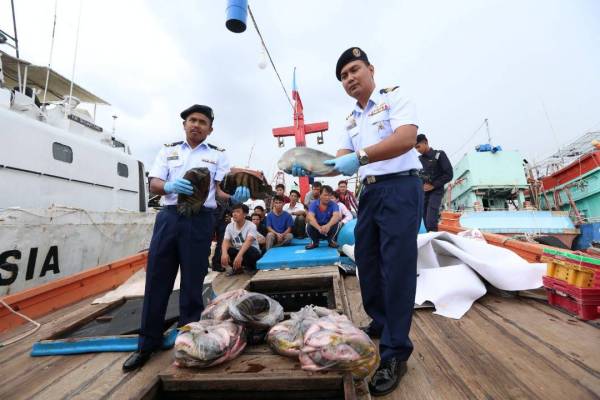 Rashidilhadi (kanan) menunjukkan sebahagian daripada hasil tangkapan laut yang dirampas selepas sidang media di pejabat APMM Terengganu hari ini.