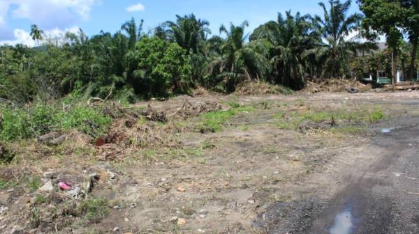 Tanah seluas satu hektar yang diwakafkan kepada YAAM bagi pembinaan bangunan baharu Asrama Anak Yatim dan Miskin An Nur Maisarah.