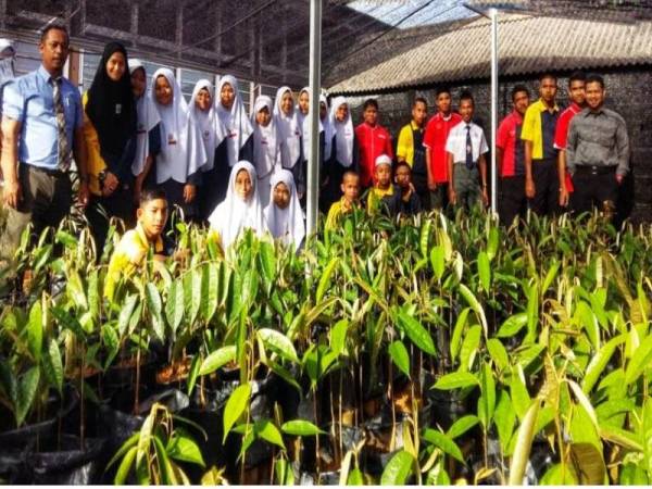 Seramai 28 pelajar pendidikan khas SMK Sg Tong, Setiu terlibat dalam aktiviti penanaman durian hibrid di sekolah itu.