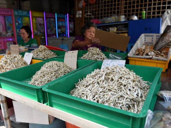 Dengan pembukaan semula Terminal Feri Antarabangsa Kukup yang kembali beroperasi semula sepenuhnya pada Khamis dapat merancakkan lagi hasil jualan dan tempahan untuk inap desa dengan kemasukan pelancong. - Foto Bernama
