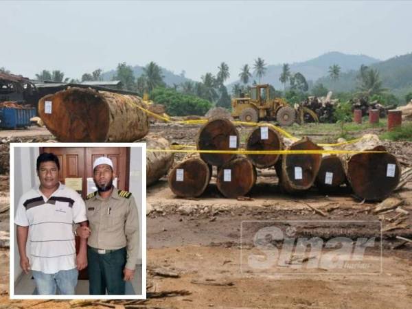 Tertuduh dijatuhkan hukuman denda sebanyak RM10,000 kerana memiliki 10 tual kayu jenis merbau secara haram di sebuah kilang kayu di Baling, September lalu.