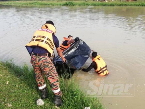 Anggota bomba menaikkan mangsa yang ditemukan terapung kira-kira 8.40 pagi tadi.