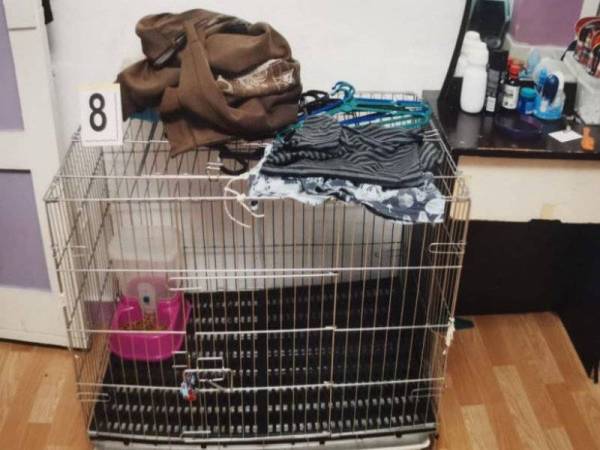 Mangsa dipercayai turut disimbah air panas beberapa kali oleh ibu bapanya ketika dikurung dalam sangkar kucing tersebut. - FOTO: DOKUMEN MAHKAMAH