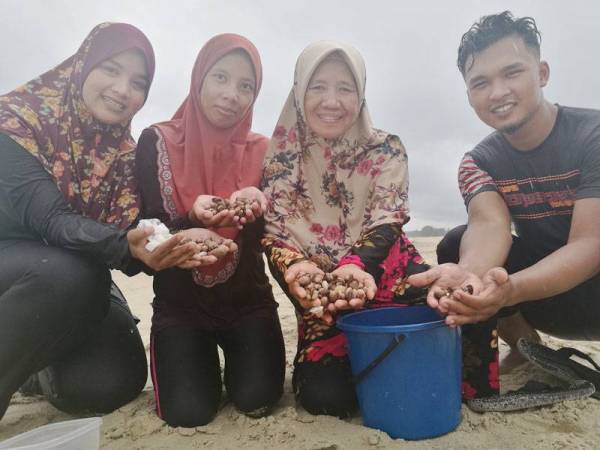 Roriah (dua dari kanan) bersama Norul Asmahanim (dua dari kiri) dan Noelawati mencari kerang di pantai Rhu Dua di sini.