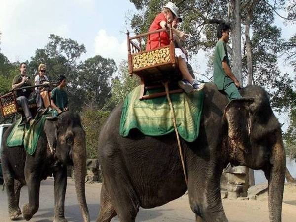 Tunggangan gajah di Angkor akan tamat awal tahun depan. -Foto AFP