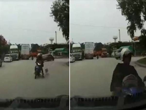 Tangkapan layar video menunjukkan penunggang motosikal telah dikejar oleh anjing dan menyebabkan dia bertembung dengan sebuah kereta yang berada di laluan bertentangan.