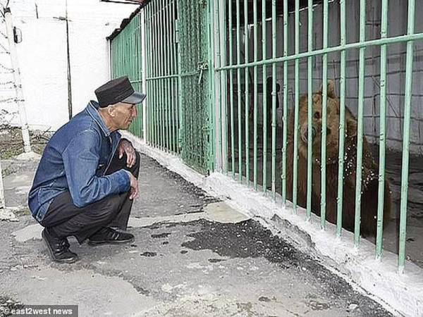 Kehadiran Katya di zoo mini telah disambut dengan 'gembira' oleh beruang jantan, Yashka. Dia menyambut Katya dengan memeluk, mencium dan meletakkan kaki di kandangnya.
