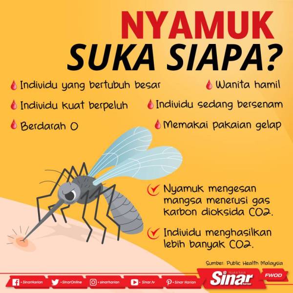 nyamuk-suka-siapa