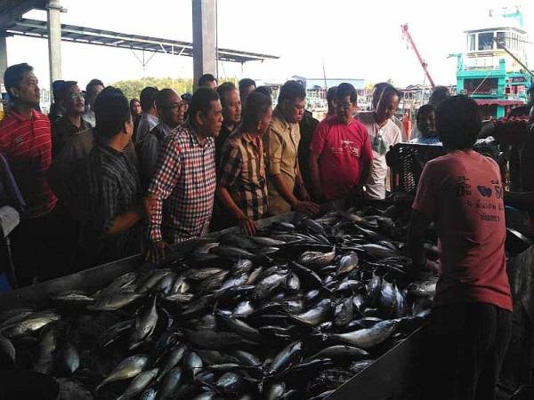 Saifuddin Nasution melihat ikan yang didaratkan sebelum dihantar kepada pemborong di Jeti 3,000 Sungai Besar di sini hari ini.