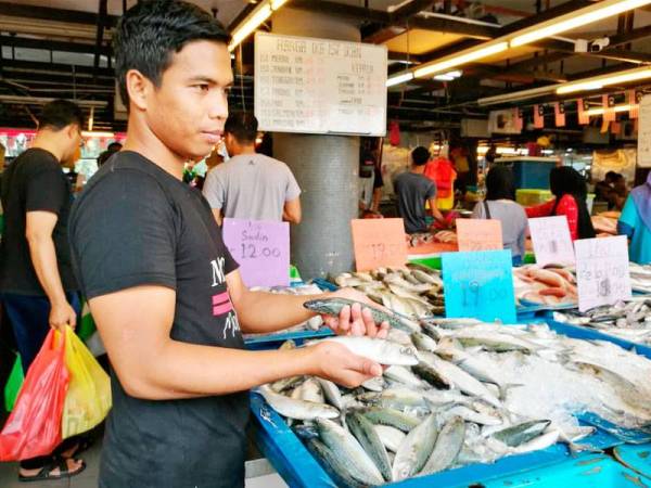 Harga ikan kembung RM50 sekilo