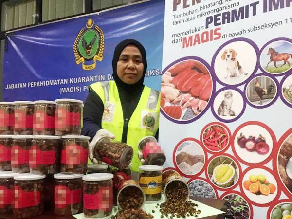 Zarina menunjukkan botol yang dirampas dari seorang warga China di LTAPP.