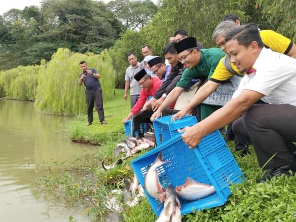 Mohd Haris (depan) bersama Ahli Jawatankuasa Induk Pertandingan Memancing melepaskan spesis patin dan keli untuk cabaran memancing Ahad ini.