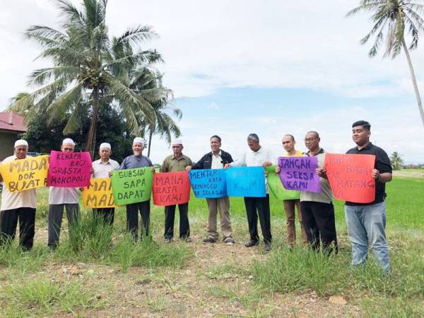 Petani berhimpun bagi meluahkan kekecewaan mereka kerana kelewatan baja diedarkan di kawasan mereka.