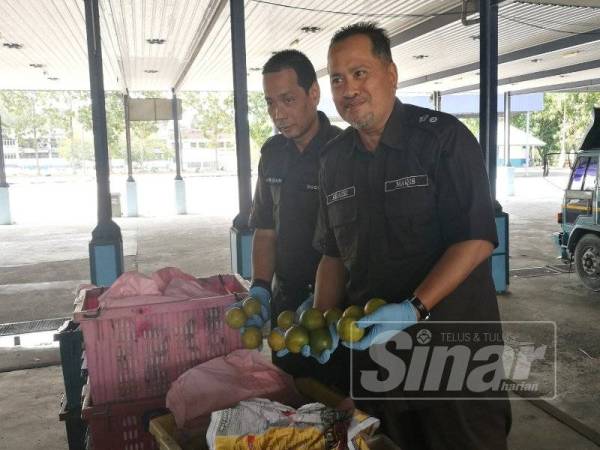 Khairi menunjukkan buah limau yang dirampas kerana tidak mempunyai permit.