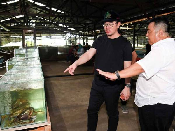 Menteri Pertanian dan Industri Makanan Sabah Datuk Junz Wong (kiri) diberikan penerangan mengenai penternakan ketam oleh Pengarah Urusan Bahvest Resources Berhad Datuk Lo Fui Ming ketika melawat ladang penternakan dan penetasan ketam di Sungai Kayu hari ini. - Foto Bernama