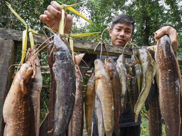 Gambar hiasan. Foto: BERNAMA