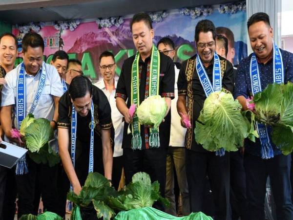 Peter (tiga dari kanan) mengupas sayur kubis sebagai simbolik perasmian Pesta Kubis hari ini. - Foto Bernama