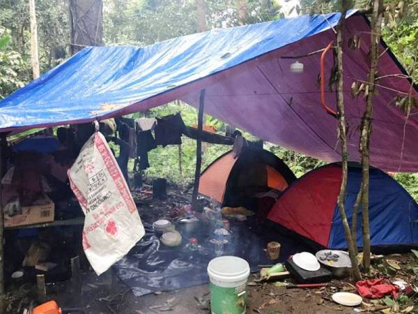 Khemah yang disyaki menjadi tempat tinggal enam lelaki di Hutan Simpan Bukit Tapah kelmarin.