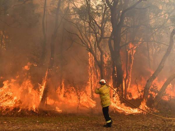 Anggota bomba bertungkus-lumus memadamkan kebakaran di Central Coast kira-kira 90 hingga 110km dari utara Sydney.- Foto AFP