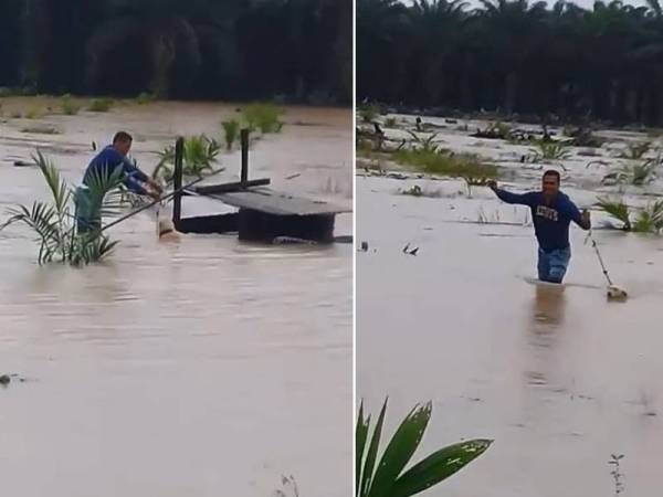 Seorang lelaki menyelamatkan seekor anjing dari bah di sini.