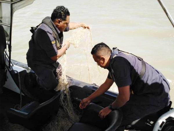 Anggota Maritim menarik pukat pari naik ke atas bot sebelum diserahkan kepada pegawai penyiasat.