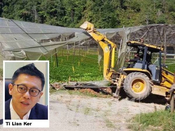 MCA menggesa Majlis Keselamatan Negara (MKN) dan kerajaan Pahang menunaikan janji untuk menyelesaikan isu pekebun di Cameron Highlands. - Gambar fail Sinar Harian