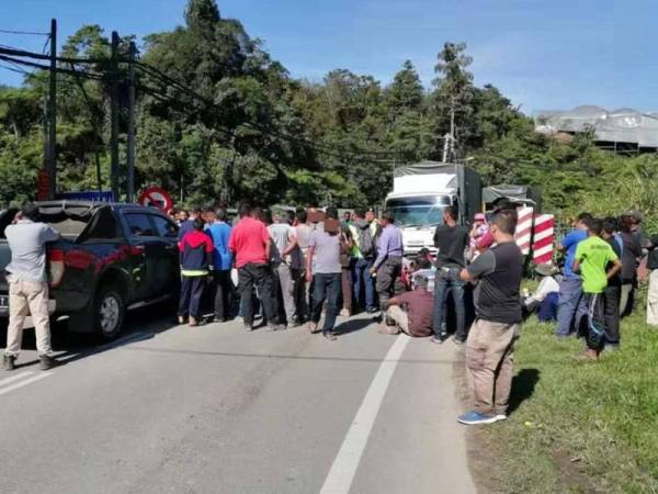 Tujuh lelaki ditahan polis dalam tunjuk perasaan oleh kira-kira 200 orang bagi membantah operasi Op Lestari 2 untuk merobohkan kebun sayur haram dan struktur bangunan di kawasan tanah tinggi ini hari ini.