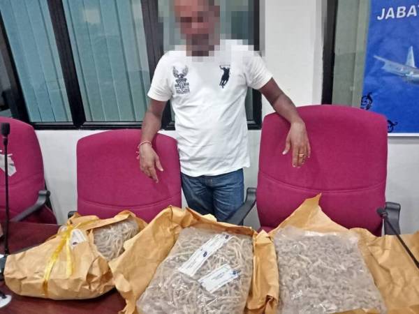 Lelaki berusia 40-an ditahan bersama 6kg ginseng yang dihantar melalui pos dari Hong Kong pada minggu lalu.