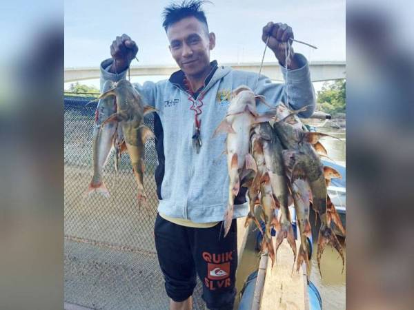 Khairudin menunjukkan hasil tangkapan ikan kenerak menggunakan kail pelabuh.