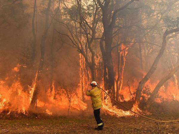 Seorang anggota bomba bertungkus-lumus memadamkan kebakaran di kawasan kediaman di Central Coast, kira-kira 110km dari Sydney. - Foto AFP