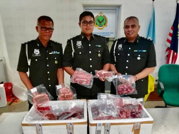 Pegawai penguatkuasa Maqis menunjukkan daging lembu wagyu yang dirampas.