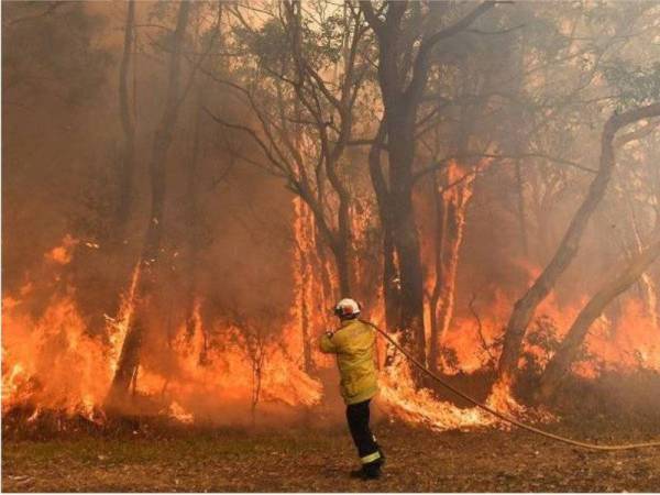 Krisis kebakaran belukar yang sedang berlaku di Australia.