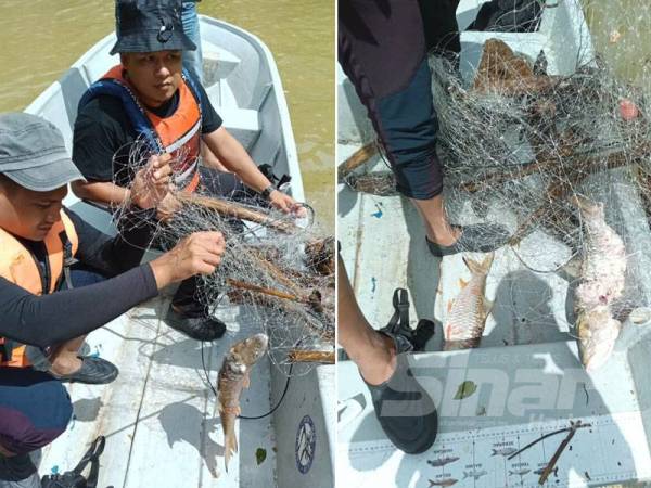 Pukat bersama kelah yang sudah mati ditemui ketika rondaan dijalankan semalam di Tasik Puah, Hulu Terengganu dipercayai kegiatan kumpulan menangkap ikan kelah secara haram.