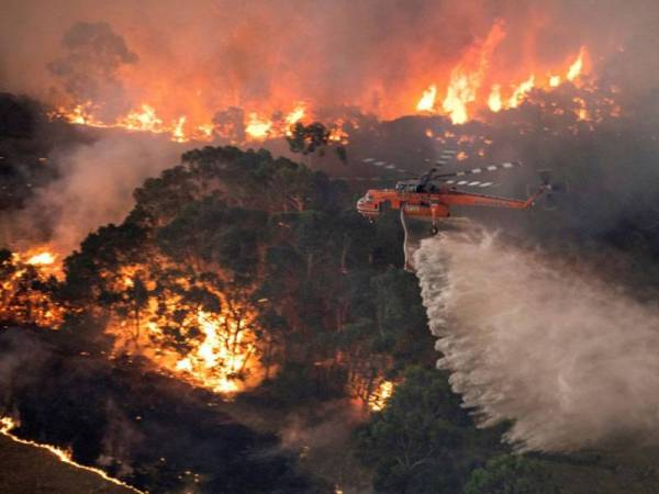 Malaysia sedia membantu Australia yang kini berhadapan dengan krisis kebakaran hutan. - Foto AFP