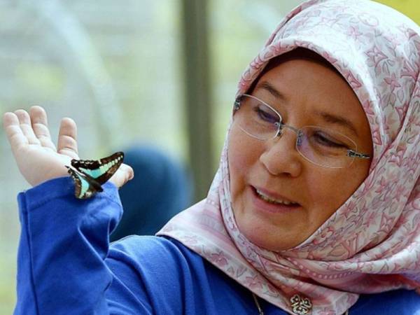 Ada di antara netizen yang berpendapat bahawa Tuanku Azizah menyahaktifkan akaun Twitternya kerana terdapat segelintir individu mengeluarkan komen-komen negatif tentang perkongsian baginda.