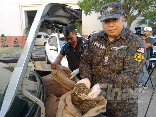 Abdul Latif menunjukkan benih kerang yang dimasukkan dalam guni basah cuba diseludup ke Thailand petang semalam.
