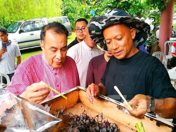 Husam menunjukkan penggunaan serai menggantikan penyedut minuman bagi menyedut madu kelulut.