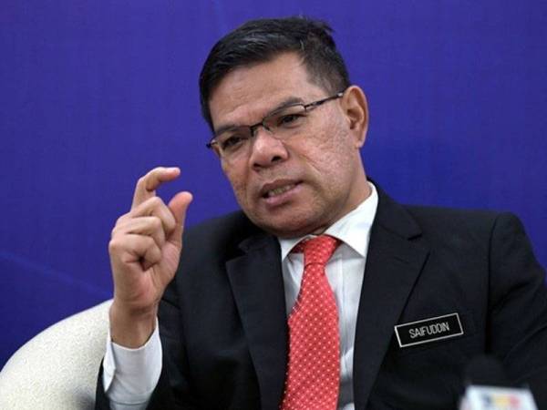 Saifuddin - Foto fail Bernama