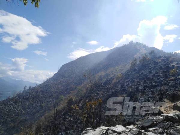 Kawasan hutan di puncak Bukit Berekeh di Sungai Siput, terbakar hari ini. 