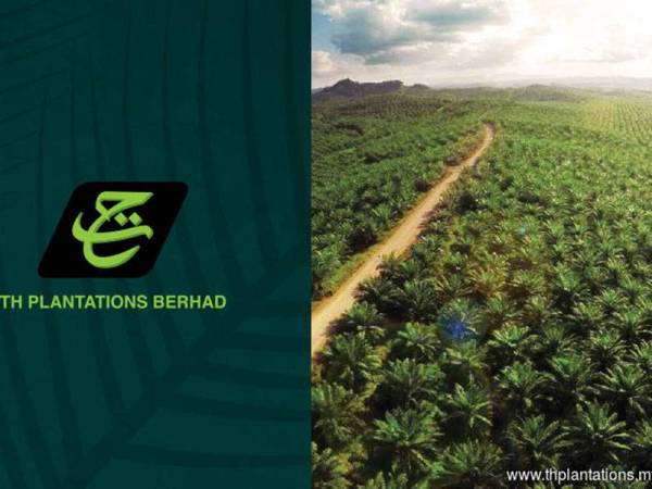 Tindakan TH Plantations Bhd (THP) menjual beberapa ladang miliknya adalah sebahagian daripada langkah rasionalisasi aset bagi membolehkannya muncul semula sebagai syarikat perladangan bersaiz sederhana yang berdaya maju.