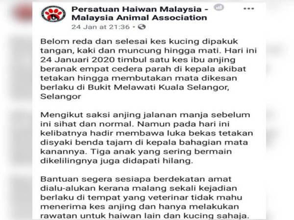 Paparan mesej tangkap layar Facebook Animal Malaysia berhubung tindakan individu tidak bertanggungjawab mencederakan seekor anjing jalanan hingga buta di Bukit Malawati di sini kelmarin.