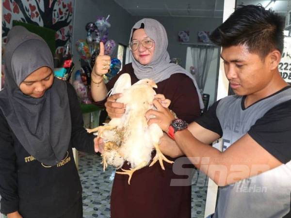 Ruszilawati (tengah) menunjukkan ayam kaki empat miliknya yang ditemui beberapa minggu lalu.